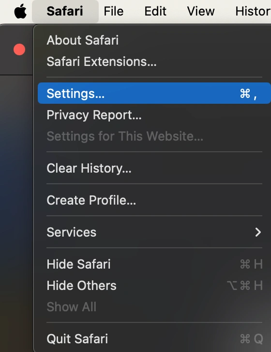 Safari Password Manager